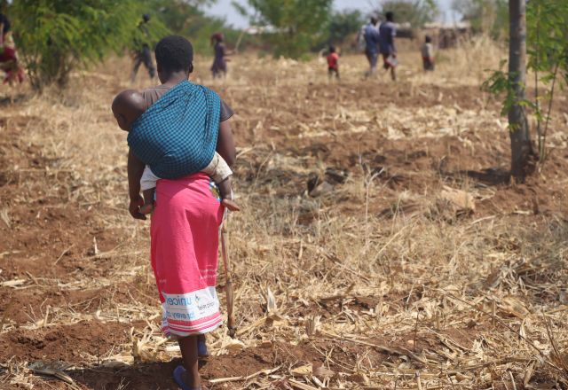A lady walks away from the camera. She is carrying her baby in a sling on her back, they walk through a field of brown grass