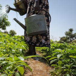 woman farmer watering crops