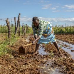 Sarah has been farming for 25 years in Nyanyadzi, Chimanimani, Zimbabwe. 