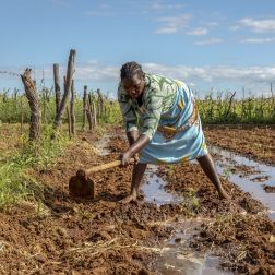 Sarah has been farming for 25 years in Nyanyadzi, Chimanimani, Zimbabwe.
