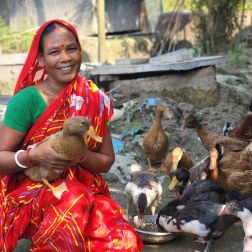 Konika is feeding her chickens and ducks.