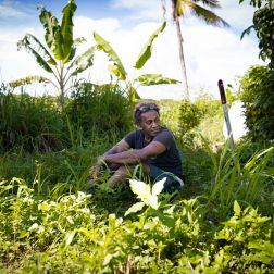 A farmer sitting in the middle a green field