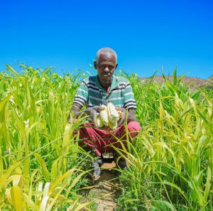 Farmer holding his farm production