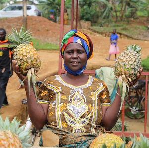 Pelagie Uwamukijije sells and stores pineapples at the estab-lished collection center in Nyamagabe district