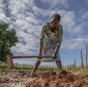 Sarah farming has been farming for 25 years in in Nyanyadzi, Chimanimani, Zimbabwe.