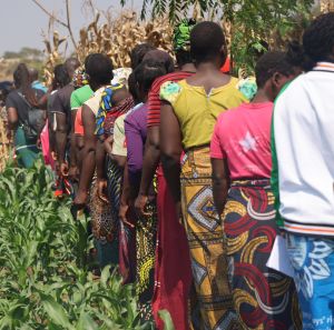 A group of women and men walking through a field in Malawi during the Farmers Field School