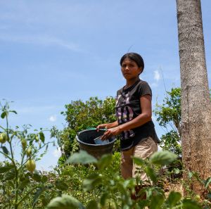Dominga maintaining a vegetable garden 