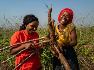 Joevetah and Daniella harvest cassava